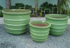 bd0440 wasabi